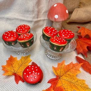 Bakpakket Paddenstoel Cupcakes